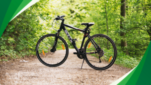 Where Does the Bicycle Come From?