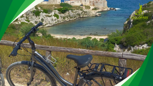 bike-friendly hotels